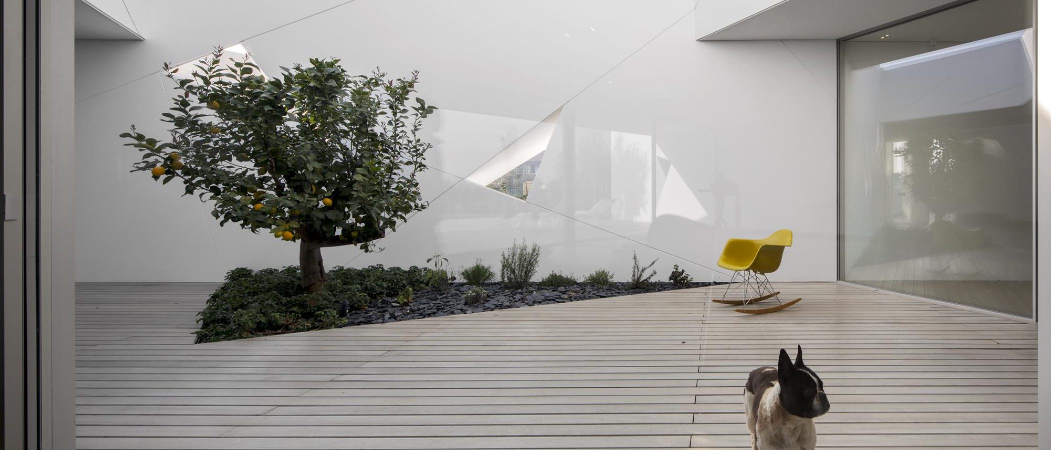 house_299