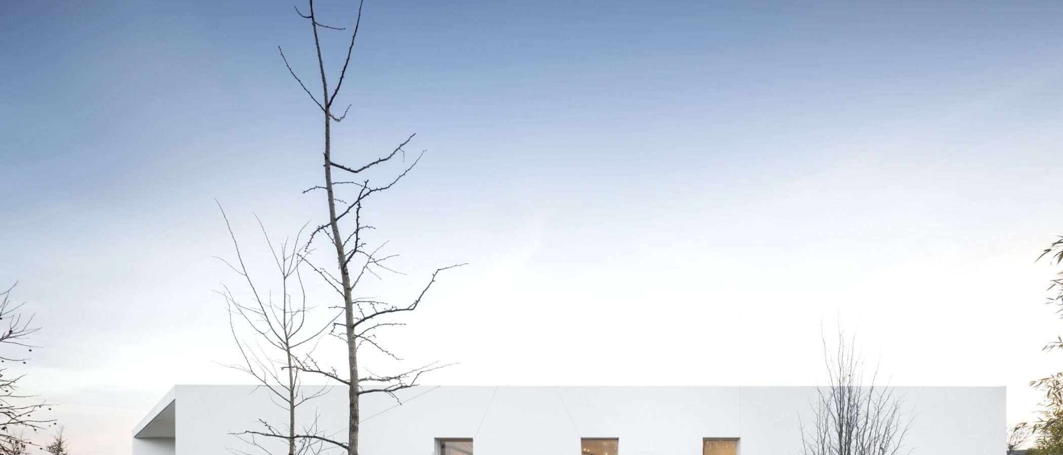 house_455